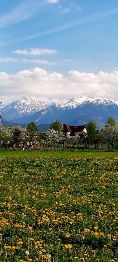 Das Home Rîşnov Екстериор снимка