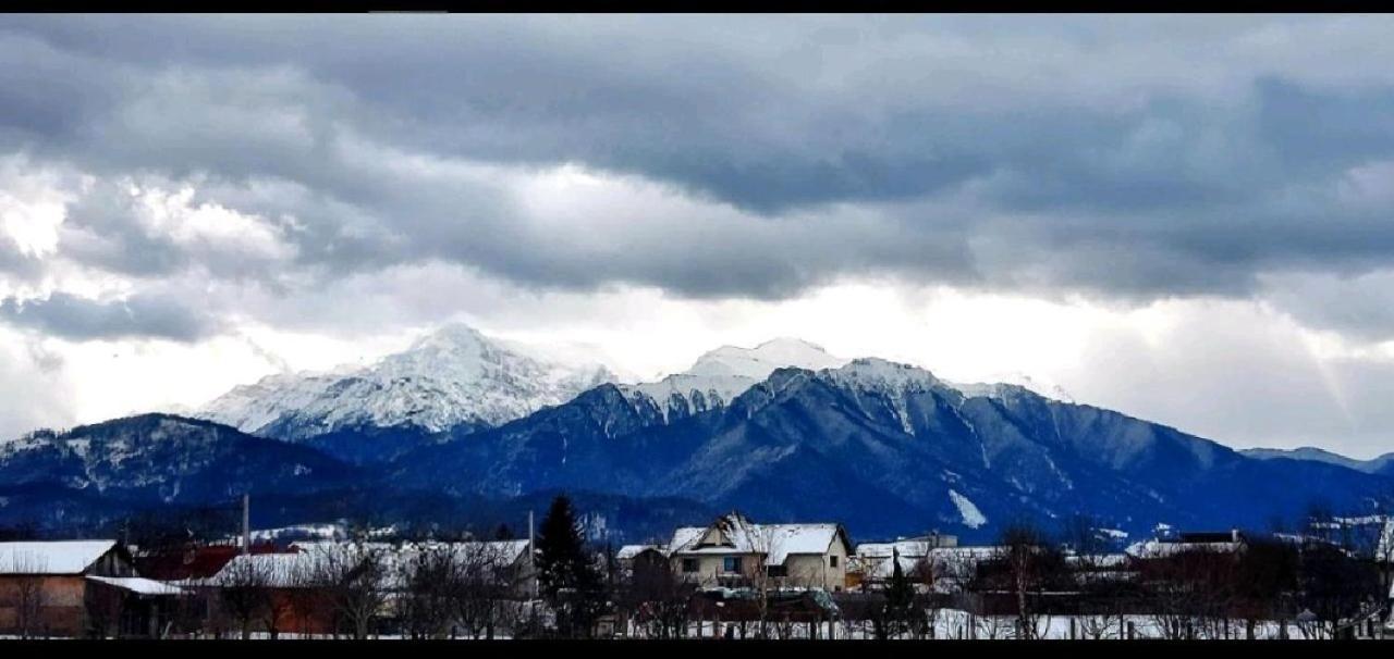 Das Home Rîşnov Екстериор снимка