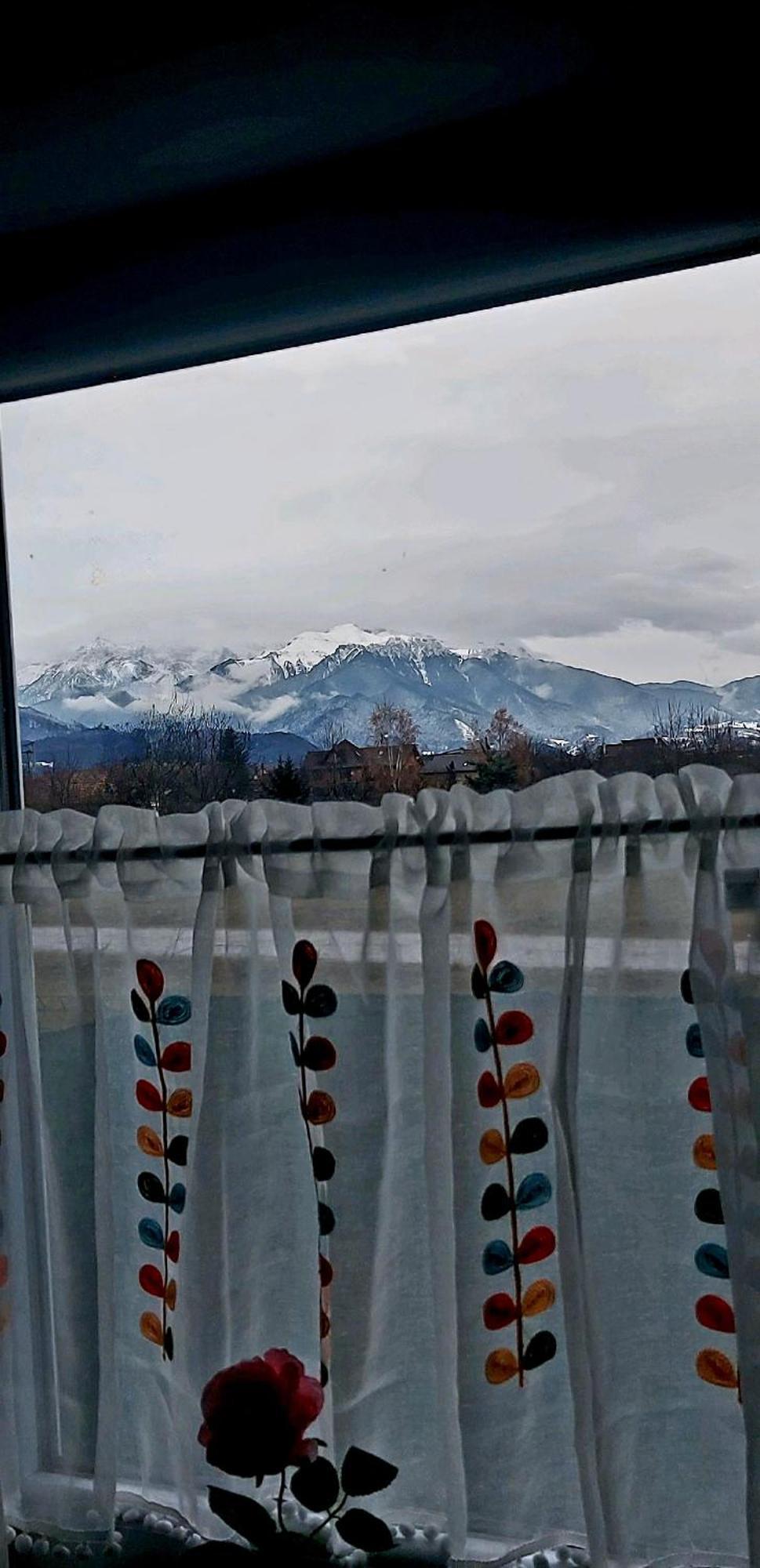 Das Home Rîşnov Екстериор снимка