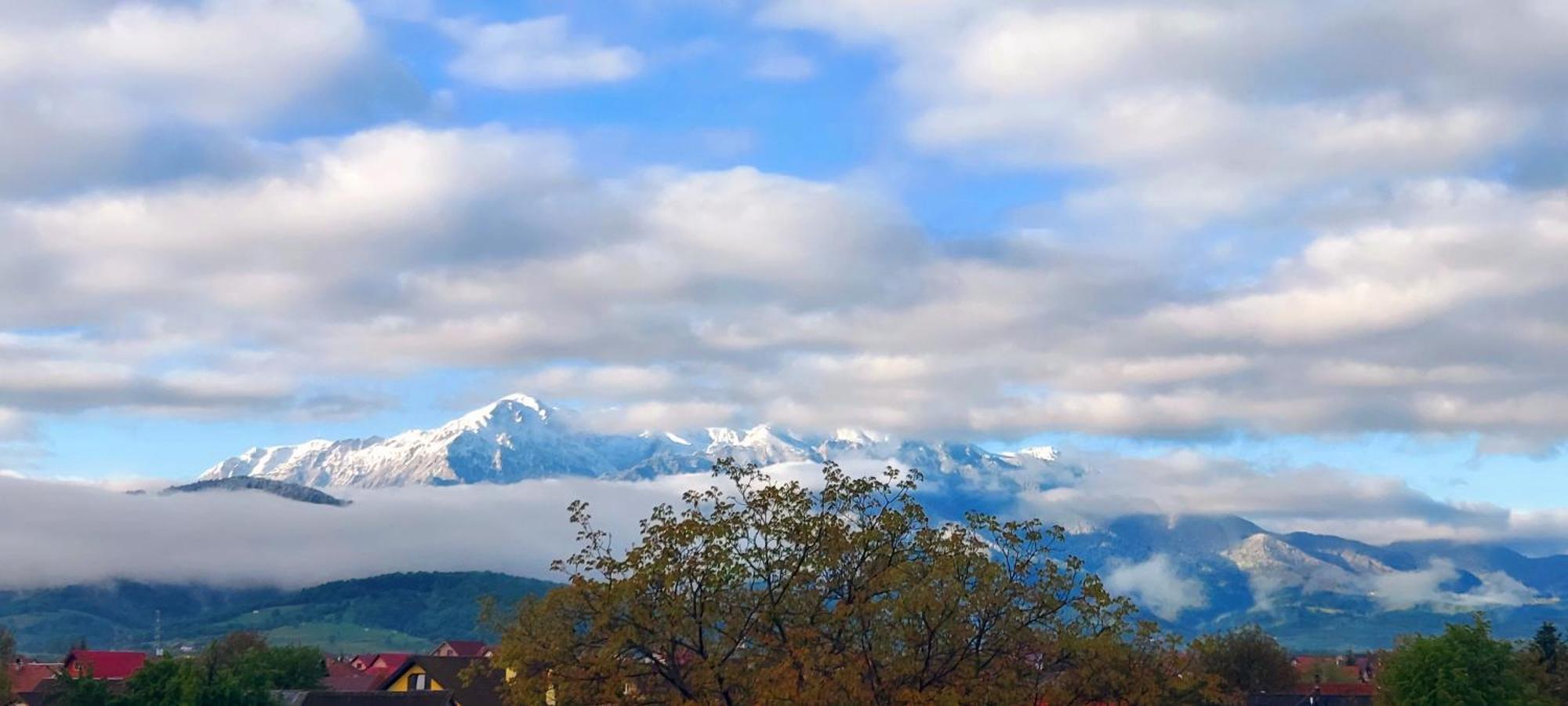 Das Home Rîşnov Екстериор снимка